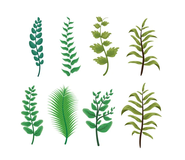 Bitki örtüsü yaprakları