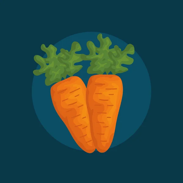 Färska morötter grönsaker ikonen — Stock vektor