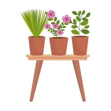 houseplants ahşap masa vektör çizim tasarım