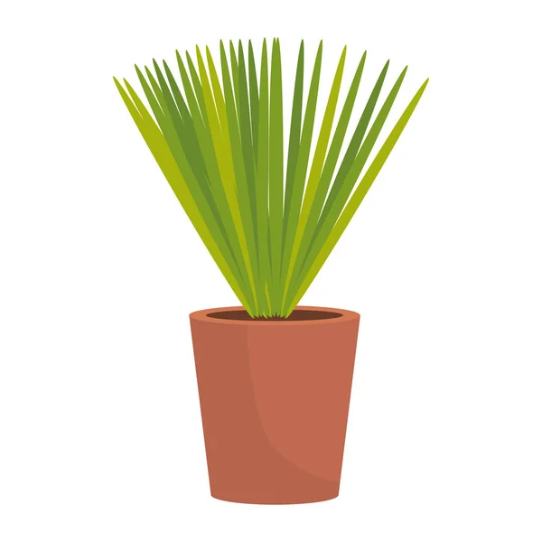 Houseplant Pot Icon Vector Illustration Design — Stock Vector