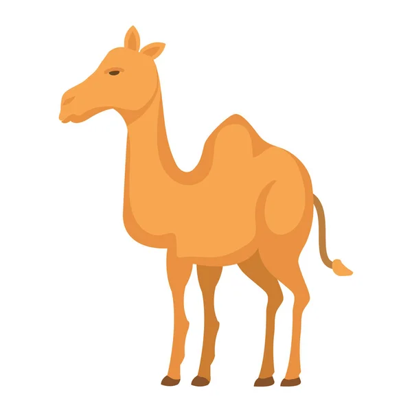 Cute Camel Desert Animal Vector Illustration Design — Stock Vector