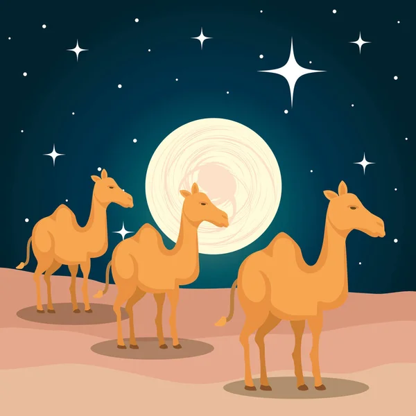 Niedlichen Kamelen Wüste Szene Vektor Illustration Design — Stockvektor