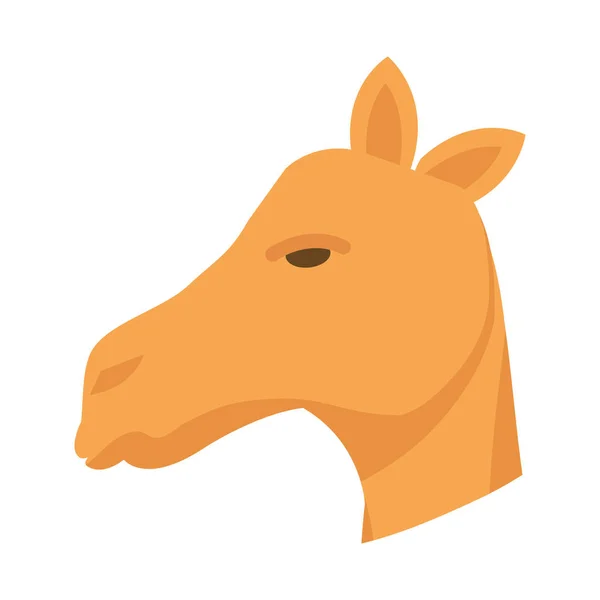 Χαριτωμένο Επικεφαλής Καμήλα Της Ερήμου Σχεδιασμό Εικονογράφηση Διάνυσμα Ζώων — Διανυσματικό Αρχείο