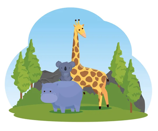 Гіпопотама з коалами та жирафами диких тварин — стоковий вектор