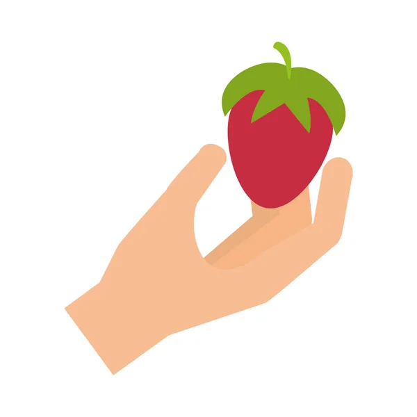 Hand som håller färsk jordgubbe — Stock vektor