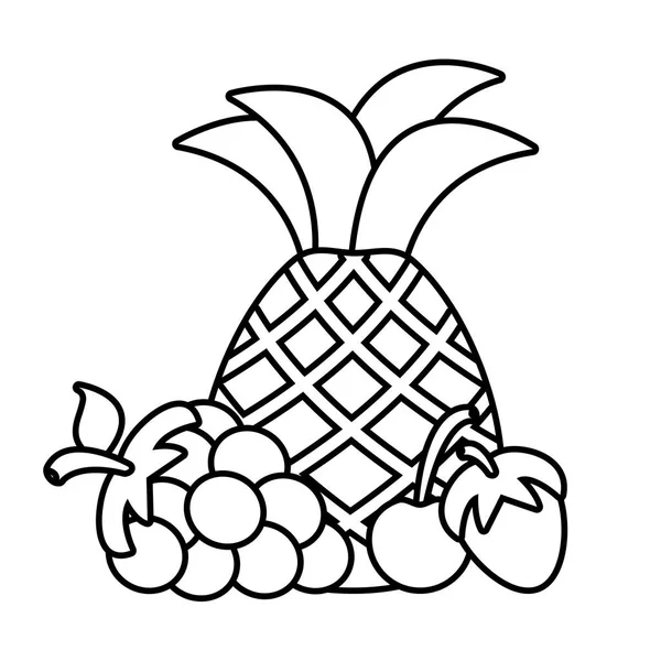 菠萝葡萄和樱桃草莓 — 图库矢量图片