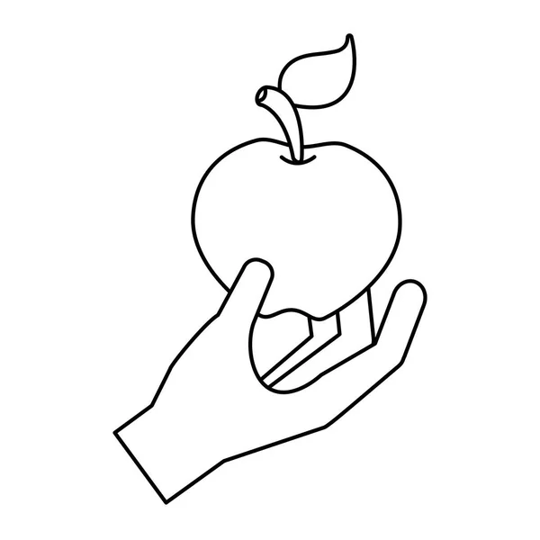 Mão segurando maçã fresca — Vetor de Stock