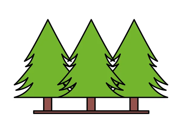 Pine trees forest — Stock Vector