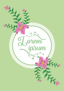 Bitki örtüsü yaprakları