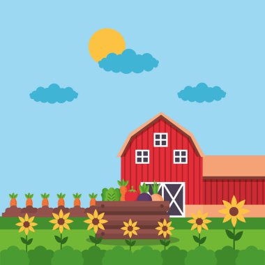 çiftlik taze çizgi film