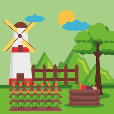 çiftlik taze çizgi film