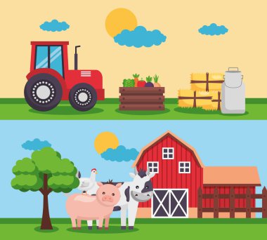 çiftlik taze çizgi film