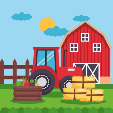 çiftlik taze çizgi film