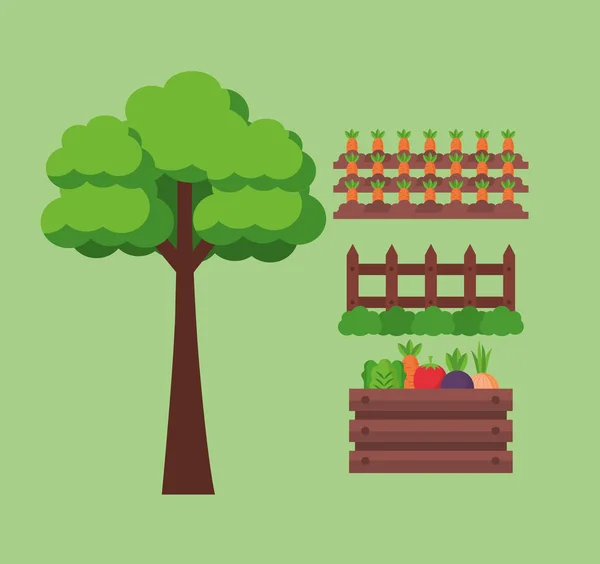 Farm fresh cartoon — Stock Vector