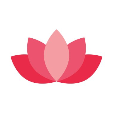 Lotus çiçek dekorasyon beyaz arka plan üzerinde