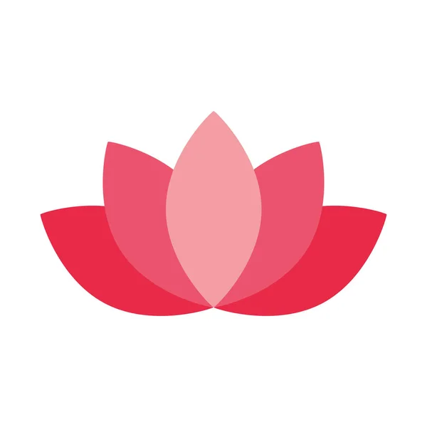 Décoration fleur de lotus sur fond blanc — Image vectorielle