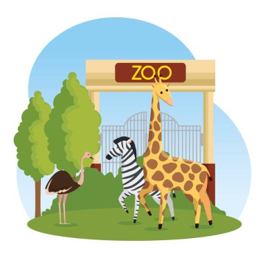 Devekuşu hayvanat bahçesinde vahşi hayvanlarla zebra ve zürafa
