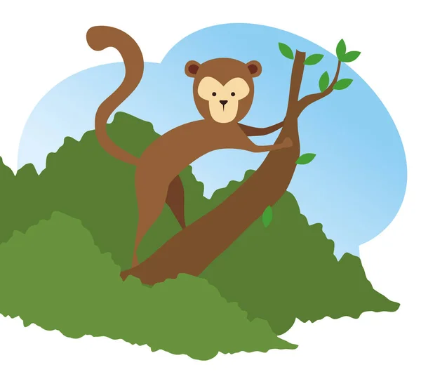 Monkey wild animal in the tree branch — Stock Vector