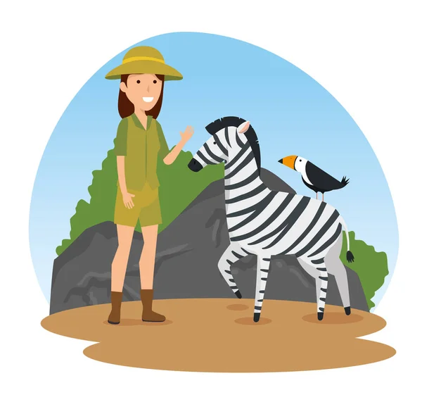 Zebra met vogel wilde dieren en safari vrouw — Stockvector