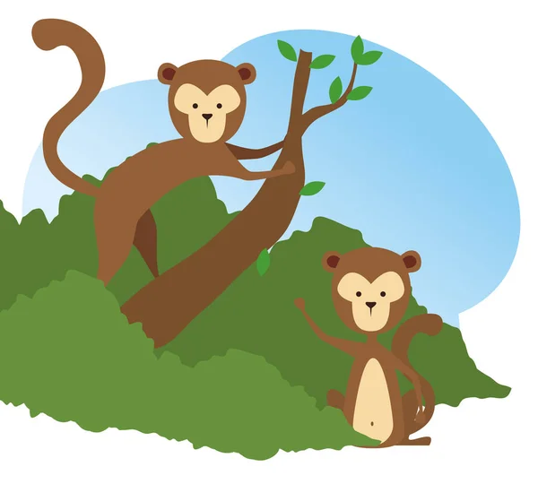 Monkeys wild animals in the tree branch reserve — Stock Vector