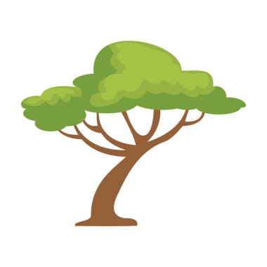 ağaç orman izole simgesi