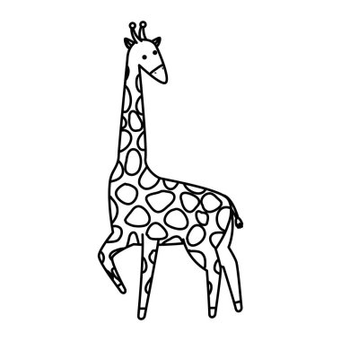 Afrika zürafa yaban hayatı hayvan