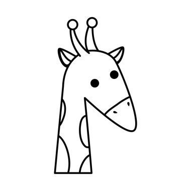 Afrika zürafa yaban hayatı hayvan