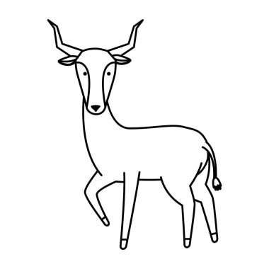 Afrika antilop vahşi karakter