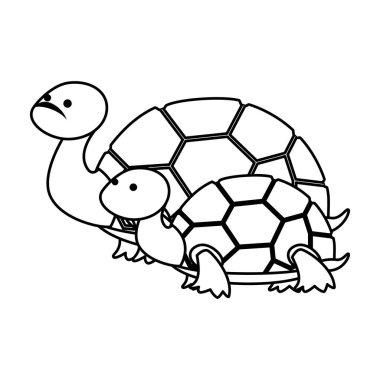 sevimli aile kaplumbağaları vahşi karakterler