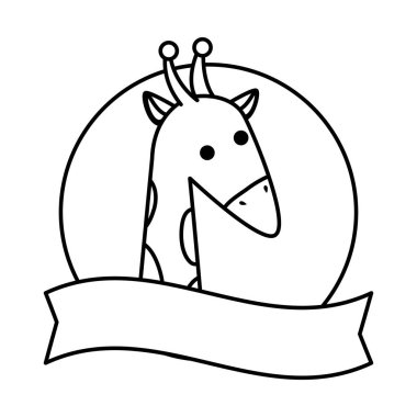 Afrika zürafa yaban hayatı hayvan