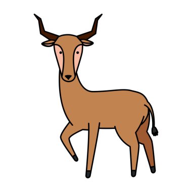 Afrika antilop vahşi karakter