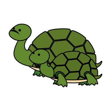 sevimli aile kaplumbağaları vahşi karakterler