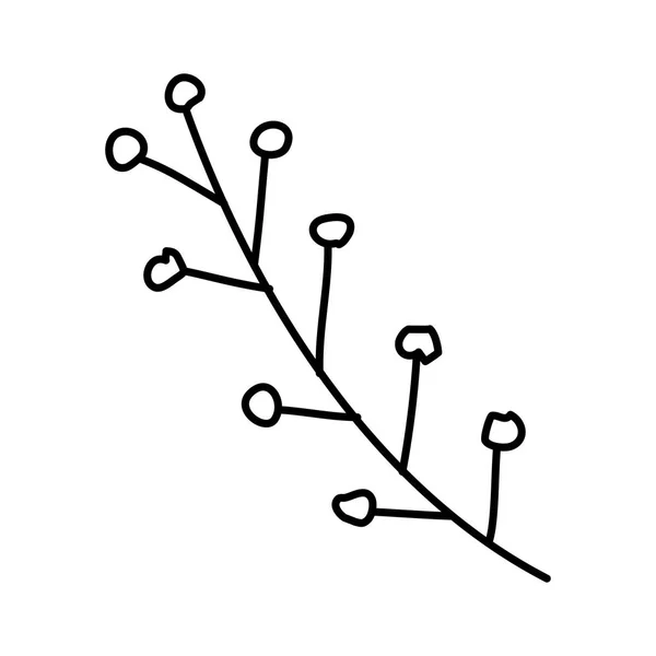 Гілка з листям рослини — стоковий вектор