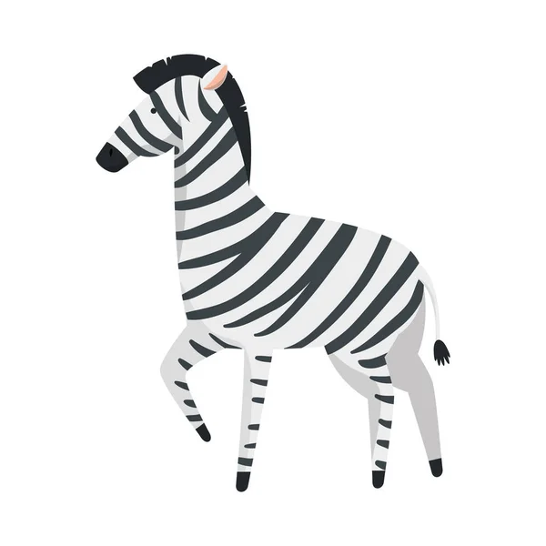 Afrikansk zebra vilda karaktär — Stock vektor