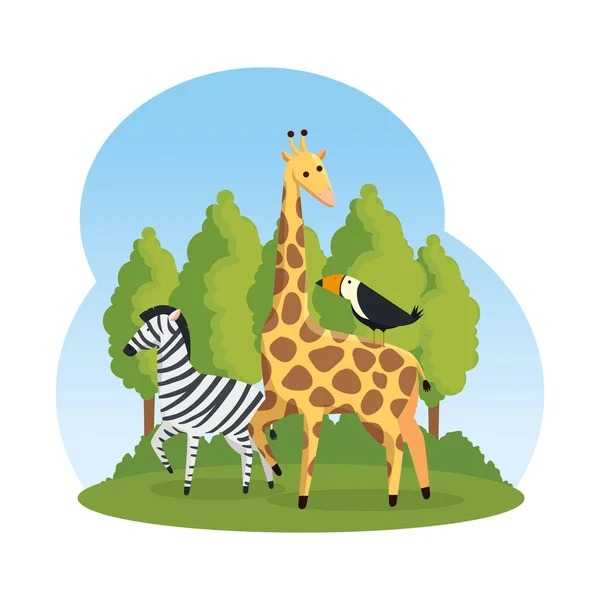 Zebra africana e girafa na savana —  Vetores de Stock