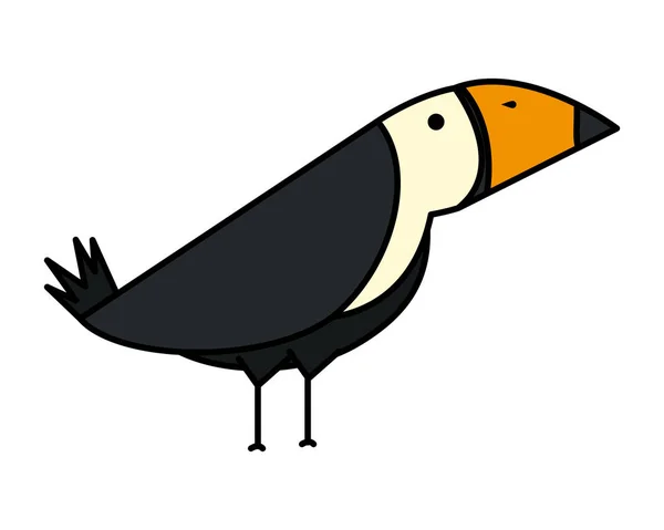 Toucan kuş egzotik hayvan — Stok Vektör