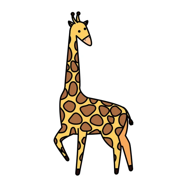 Afrikaanse giraffe wild dier — Stockvector