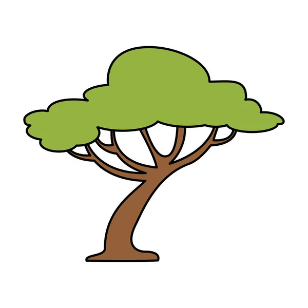 Árbol bosque aislado icono — Vector de stock