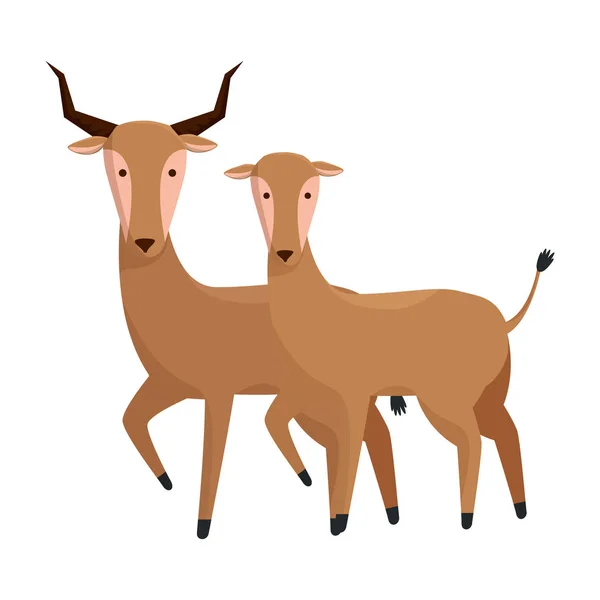 Afrikanska antiloper par vilda tecken — Stock vektor