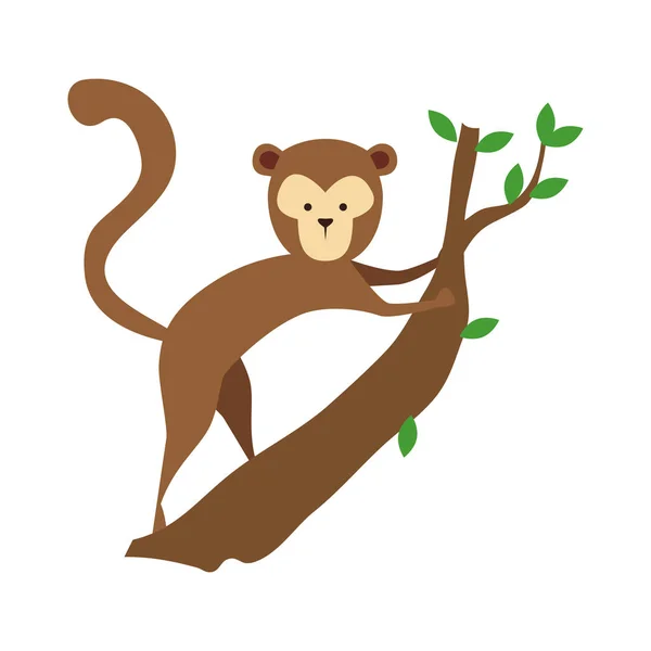 Funny monkey wild character — Stock Vector