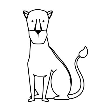 Afrika dişi aslan vahşi hayvan