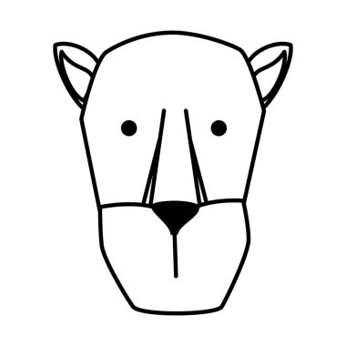 Afrika dişi aslan vahşi hayvan