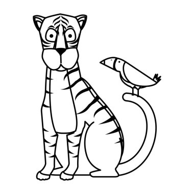 toucan ile Afrika kaplanı