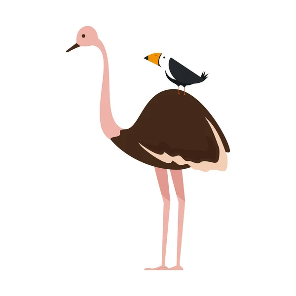 Caráter de ave avestruz selvagem — Vetor de Stock
