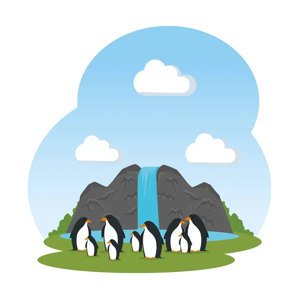 Bonito pinguins pássaros no paisagem personagens —  Vetores de Stock