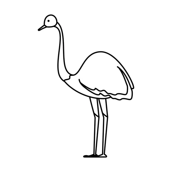 Дикий страусовий птах персонаж — стоковий вектор