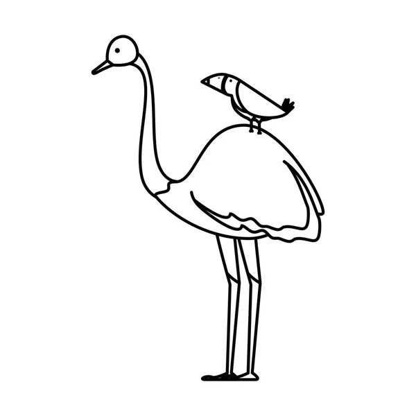 Άγρια στρουθοκάμηλος πουλί χαρακτήρα — Διανυσματικό Αρχείο