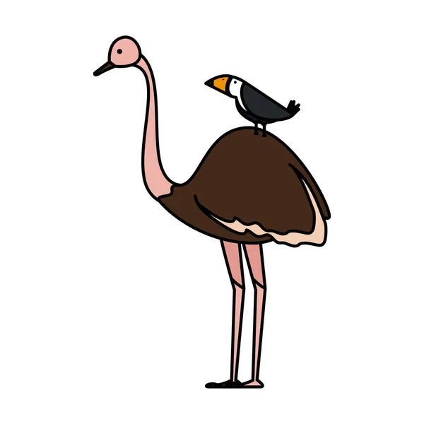 野生のダチョウの鳥のキャラクター — ストックベクタ