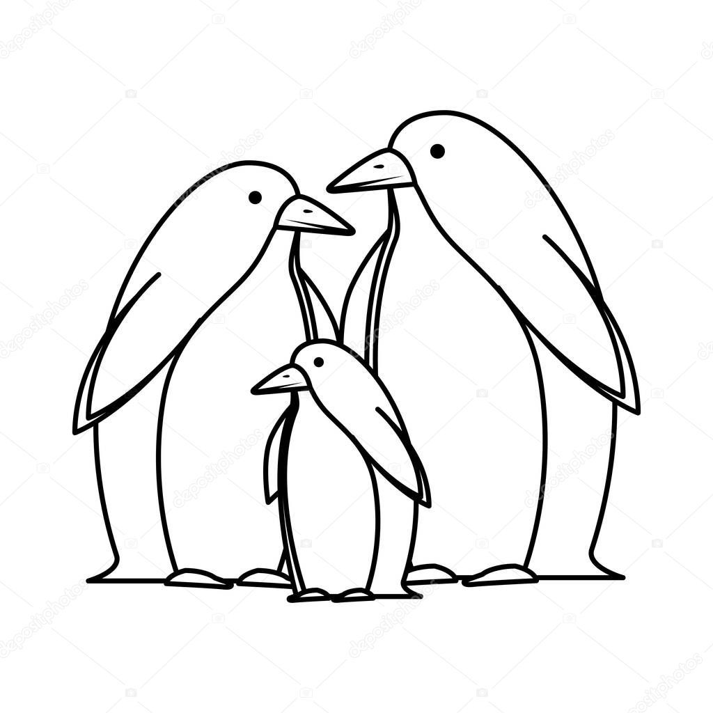 cute penguins birds characters