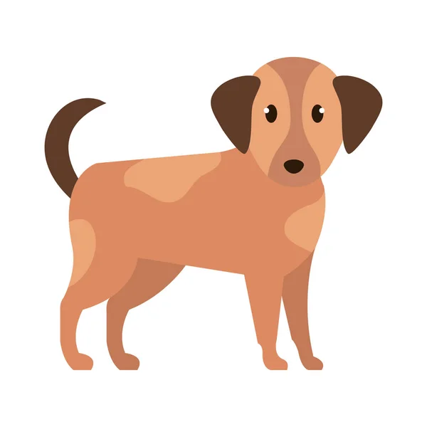 Cute little dog mascot — Stock Vector